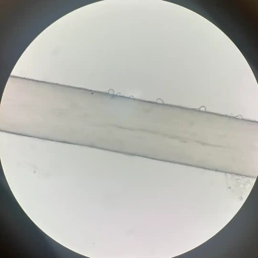 Mikroskop Altında Ağartılmış ve Sağlıklı Saçların Yapısal Karşılaştırması ve Bakım Etkileri