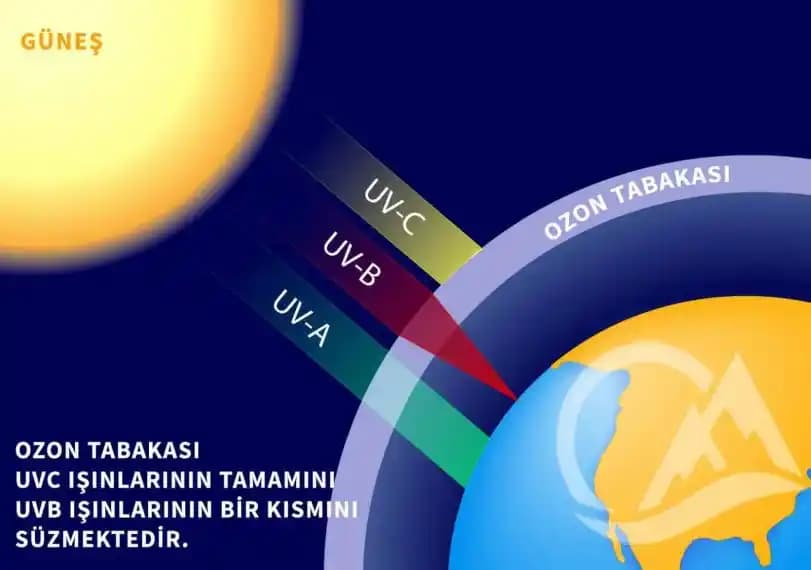 Güneş Altında Saçta Yağ Kullanımının Saç Sağlığı Üzerindeki Etkileri ve UV Koruyucu Önemi