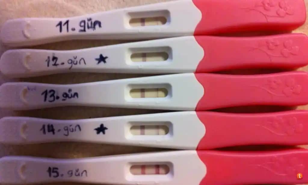 Kadınlar İçin Ovülasyon Testleri ve Gebelik İpuçları Rehberi