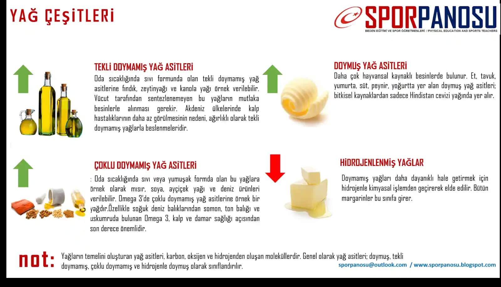 Kozmetikte Yağ Çeşitleri ve Doğal Güzelliğin Sırları Hakkında Kapsamlı Bilgi