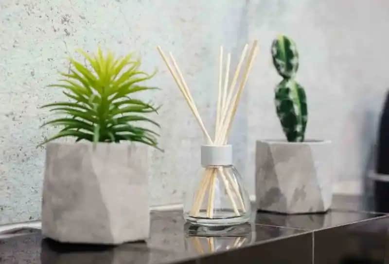 Oda Kokusu Seçimi ve En İyi Tavsiyelerle Evinize Ferahlık Katın