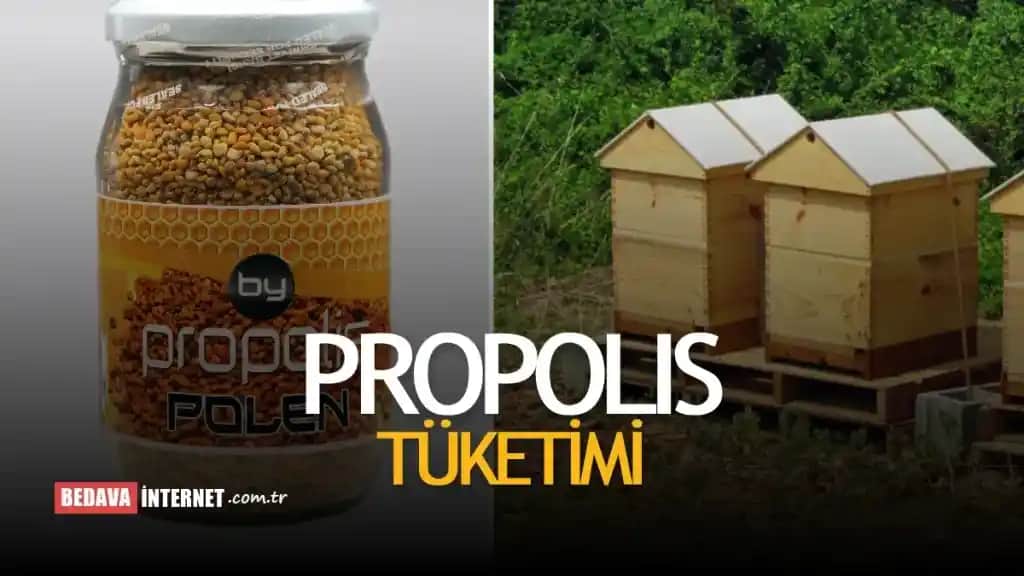 Propolis Fiyatları ve Kalite Seçenekleri: Doğal Mucizeyi Uygun Fiyata Edinin