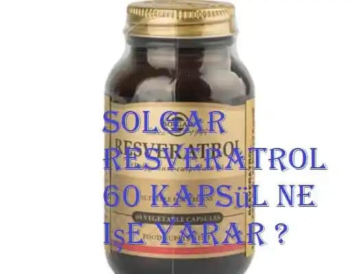 Solgar Nedir ve Sağlığa Katkıları Nelerdir Sağlıklı Yaşam İçin Göz Atın