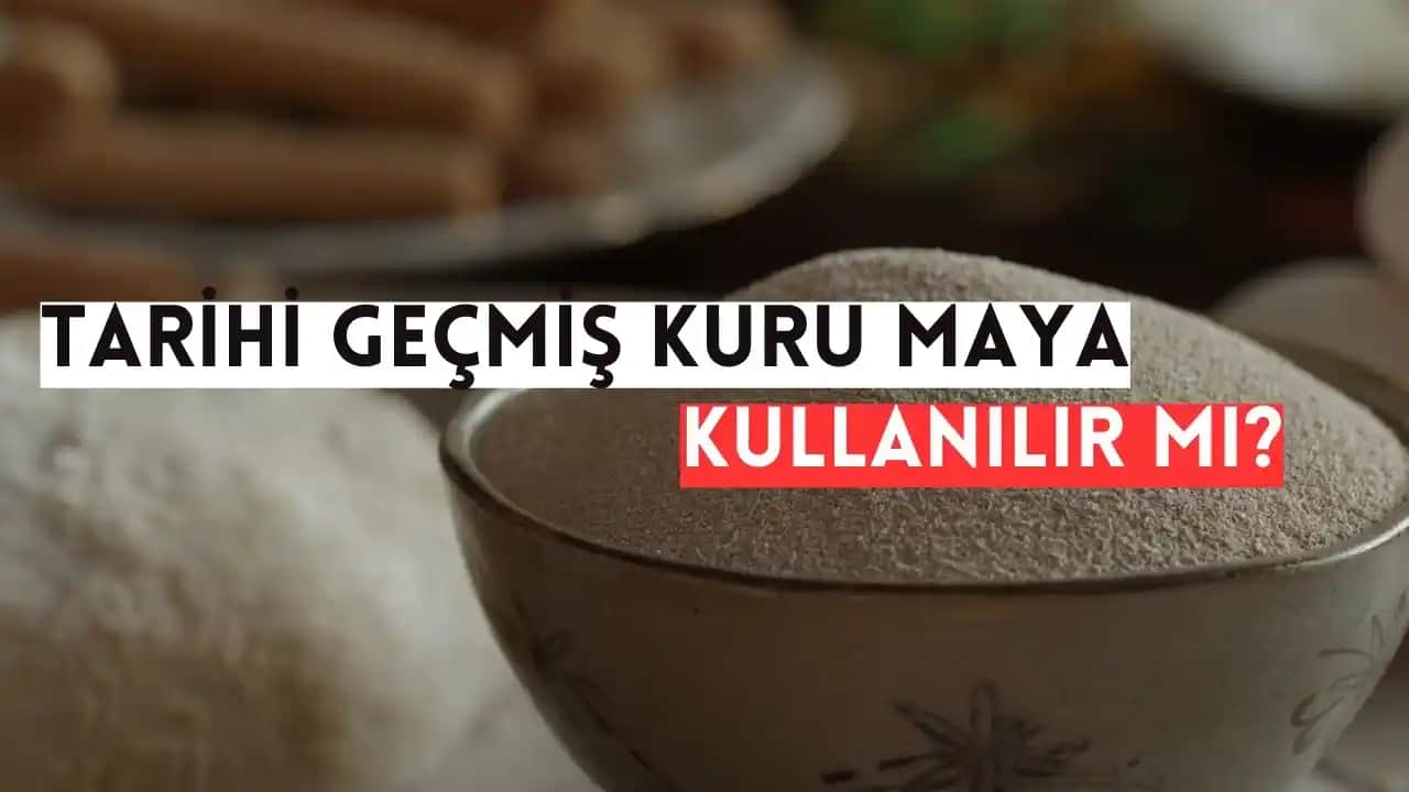 Tarihi Geçmiş Probiyotikler Kozmetikte Kullanım Güvenliği ve Doğru Yaklaşımlar