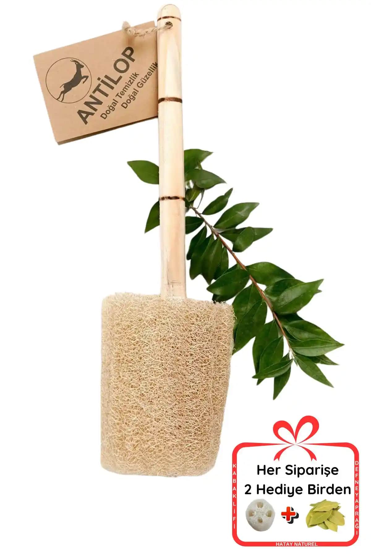 Antilop Kabak Lifi ve Lamina Loofah Sırt Kesesi Karşılaştırması