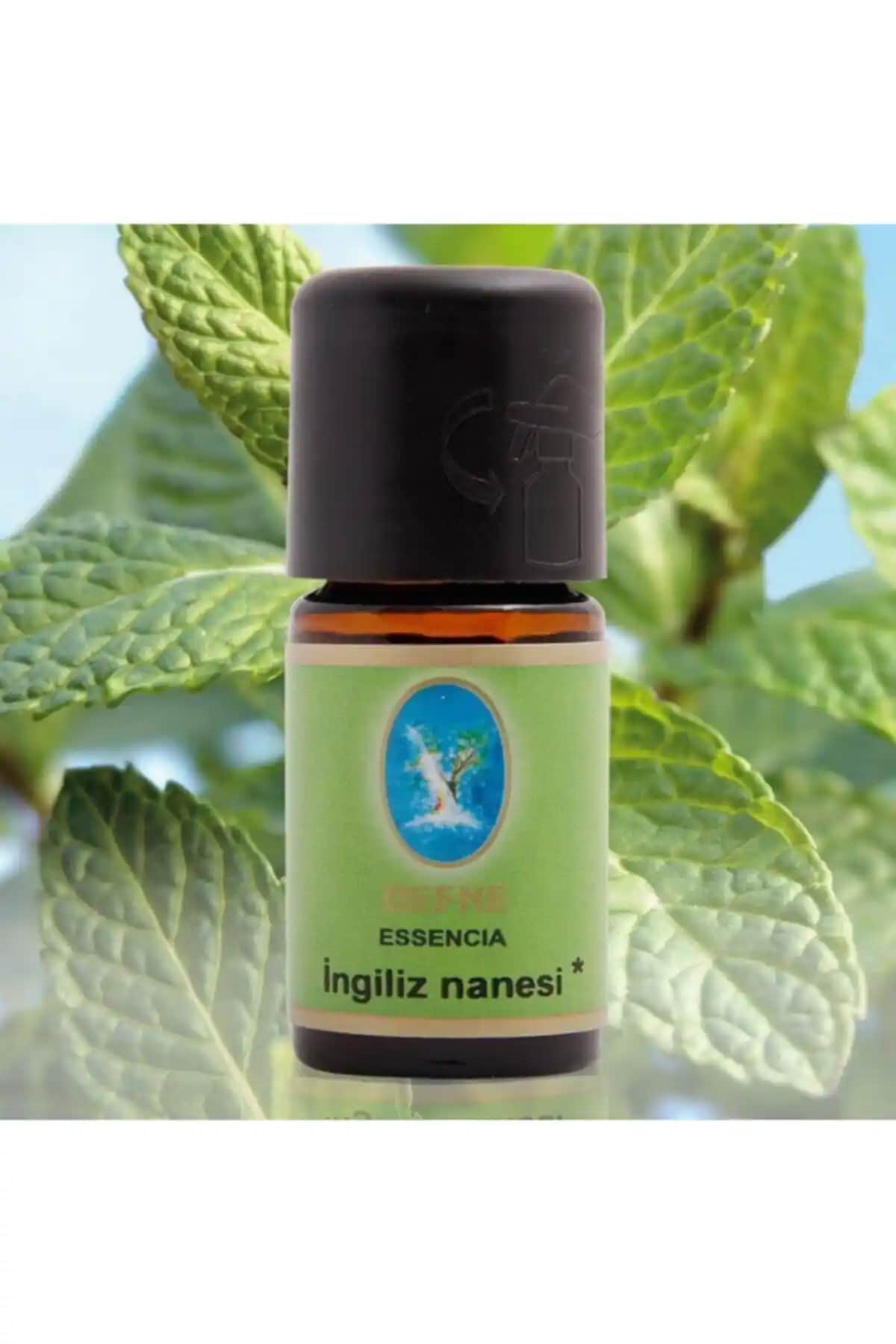 Organik İngiliz Nanesi Yağı ile Aromaterapide Doğal ve Güvenilir Deneyim