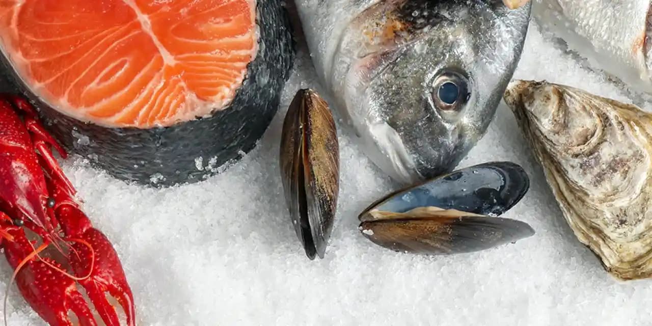 Balık ve Güzellik: Sağlık ve Estetik İçin Doğal Bir Kaynak