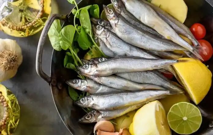 Balık ve Sağlık: Omega-3 ve Protein İçeriğiyle Sağlıklı Yaşamın Anahtarı