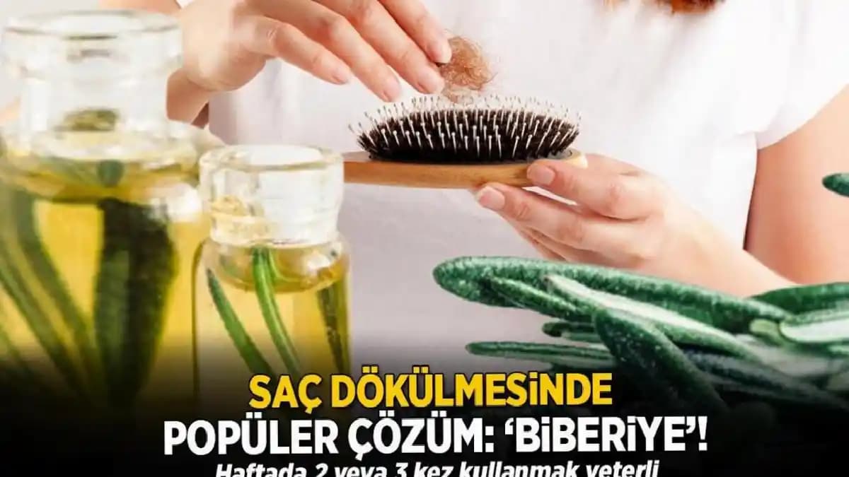 Biberiye Mayası ile Saç Dökülmesine Karşı Doğal Çözüm ve Saç Sağlığını Destekleme