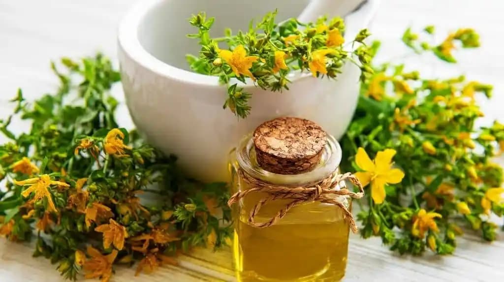 Bitki Yağlarının Güzellikteki Rolü ve Doğru Kullanım Yöntemleri