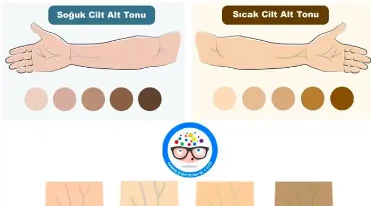 Cilt Renk Analizinde Alt Tonların Önemi ve Doğru Belirlenme Yöntemleri