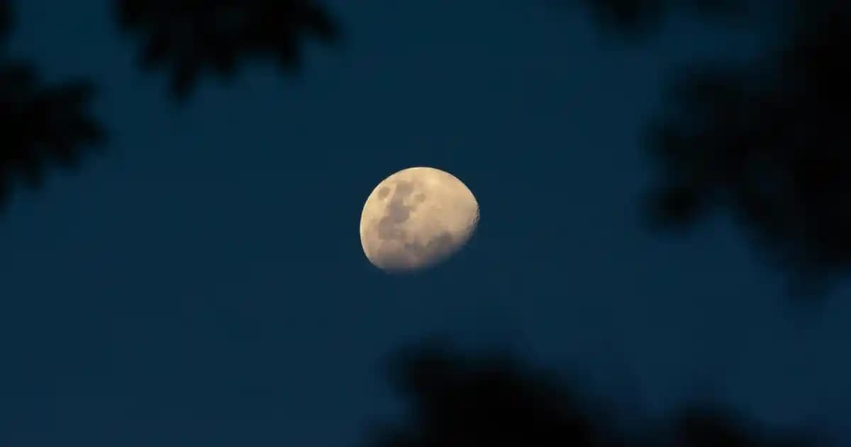 Diş Eti Hassasiyetine Karşı Etkili Çözüm Yolları ve Tedavi Seçenekleri