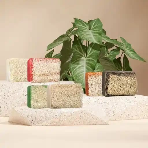 Doğal Sabunlar ve Süngerli Yapılarıyla Cilt Bakımında Fark Yaratan Ürünler