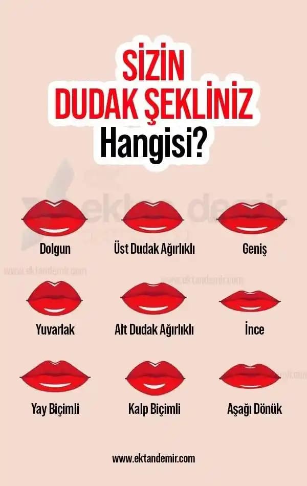 Dudak Emzik Şekli Trendleri ve Estetik Uygulamalar Hakkında Bilmeniz Gerekenler