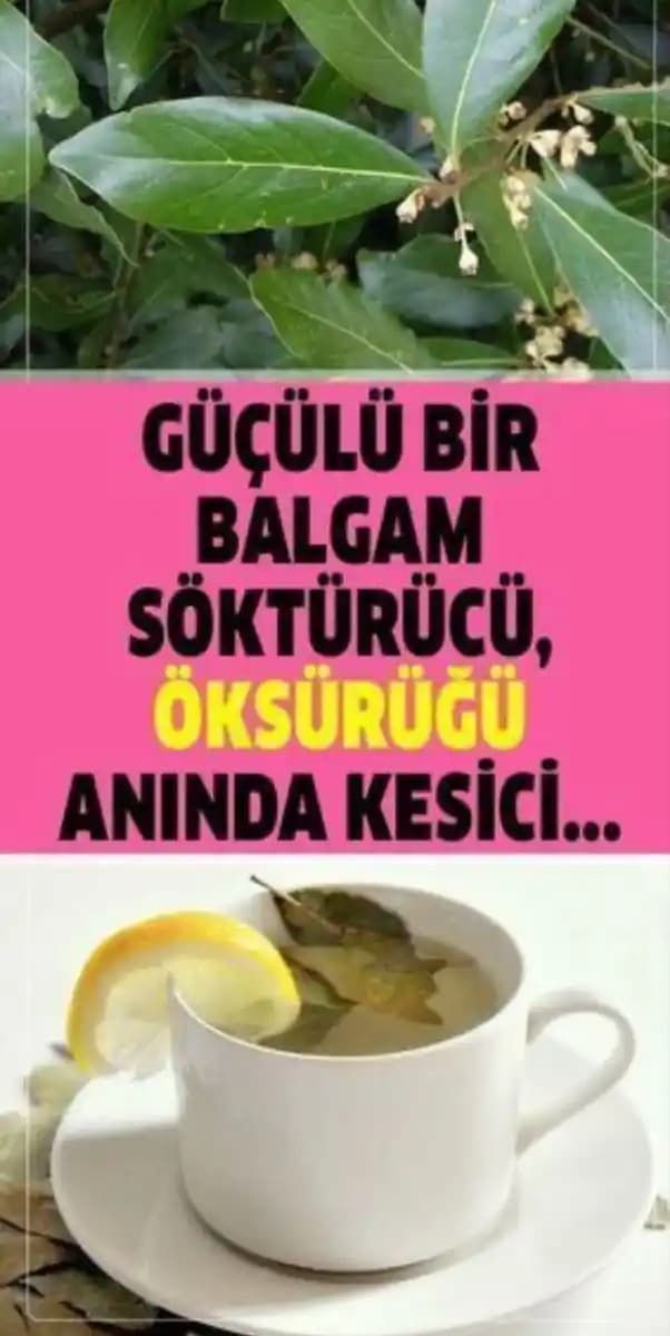 Güçlü Destekçiler ile Güzellik ve Sağlıklı Yaşamın Sürdürülebilir Yolu