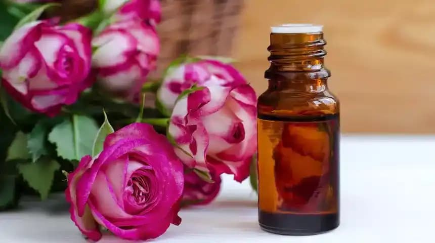 Gül Mayası ve Gül Yağı ile Doğal Güzellik ve Cilt Bakımı Yöntemleri