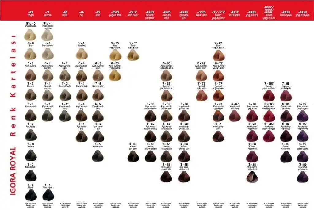 Igora Saç Renkleri: Çeşitleri, Formülleri ve Kullanım İpuçlarıyla Profesyonel Sonuçlar