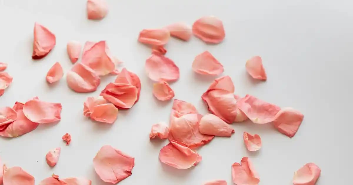 İki Parçalı Dudak Koruyucu ve Nemlendirici Paketler Günlük Bakımda Kullanım Önerileri