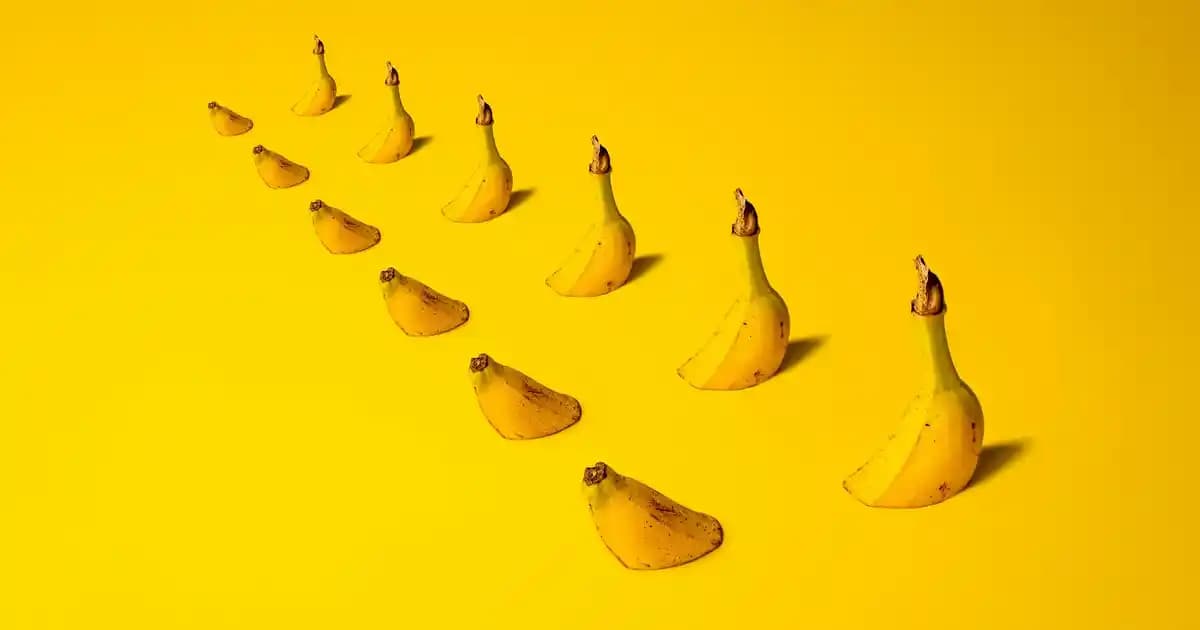 Jel Tırnakların Avantajları ve En Uygun Seçenekler Hakkında Kapsamlı Bilgi