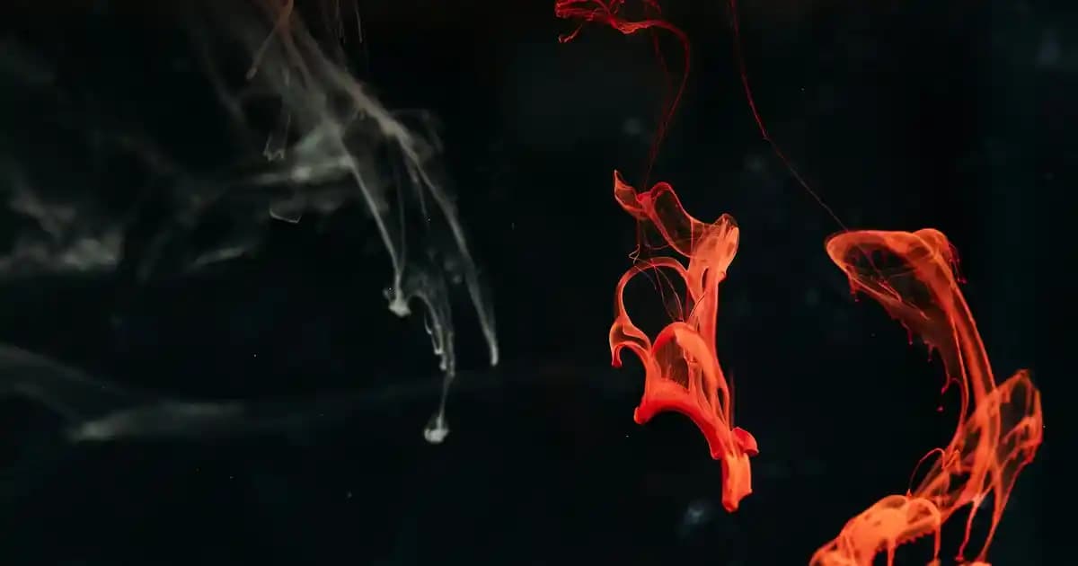 Kadın Floral Edp Parfümlerinin Özellikleri ve Kullanım İpuçları