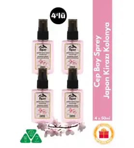 Koku Kolonyası Seçerken Dikkat Edilmesi Gerekenler ve En İyi Markalar