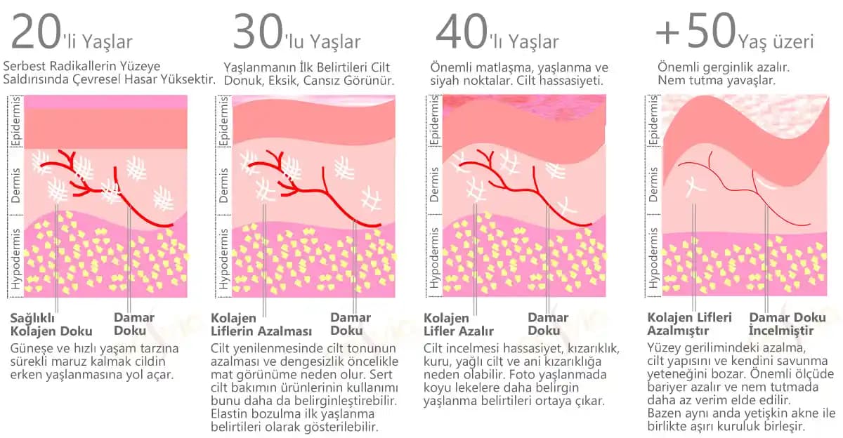 Kollajen Neden Cilt Güzelliğinde Bu Kadar Önemlidir ve Yaşlanma Karşıtı Etkileri