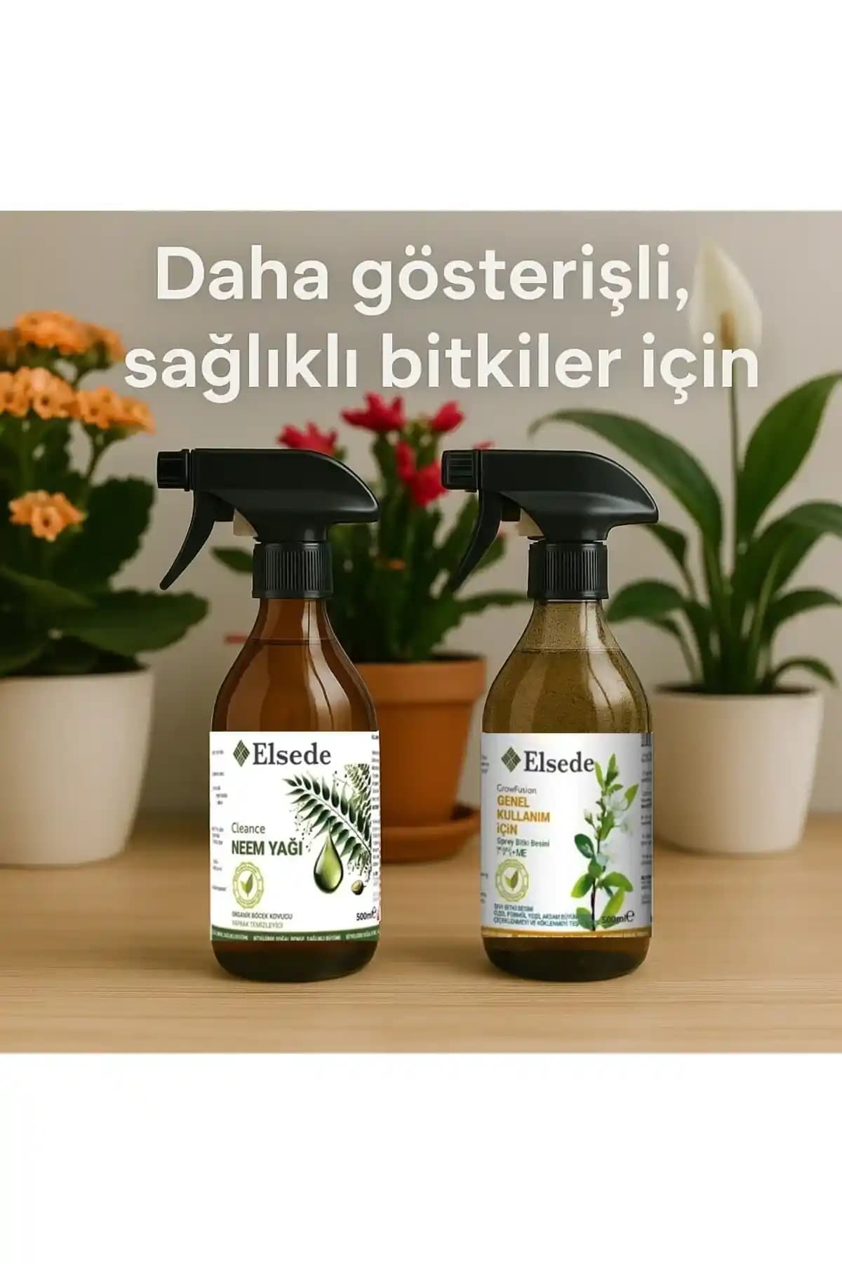 Kozmetik Bitki Yağı Alternatifleri: Doğal ve Etkili Seçenekler Hakkında Bilgiler