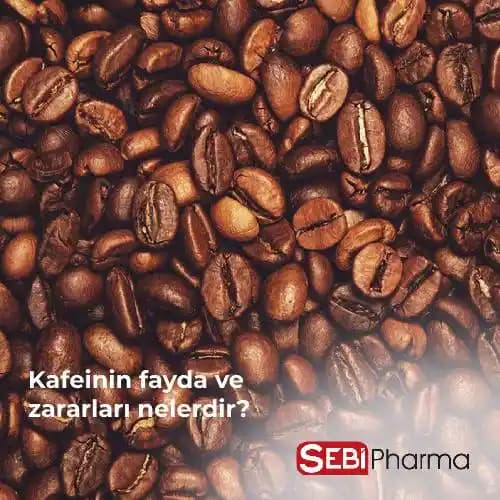 Kozmetik Ürünlerde Kafein ve Alternatif Aktif Maddelerin Faydaları