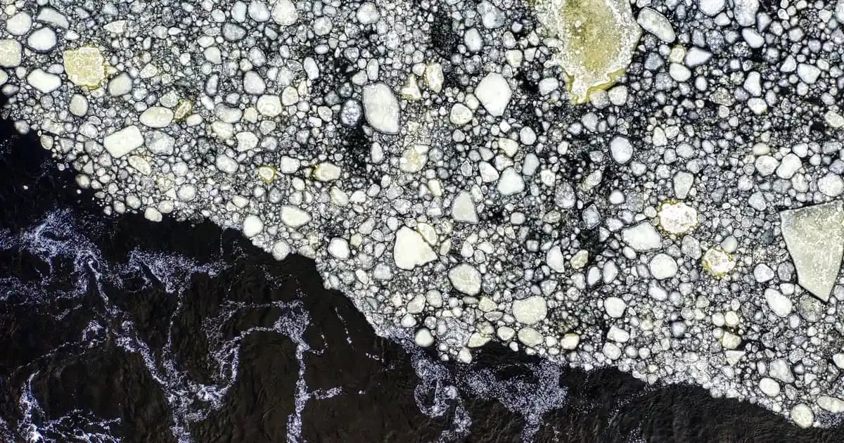 Kuru Ciltler İçin Güncel ve Etkili Nemlendirme Çözümleri