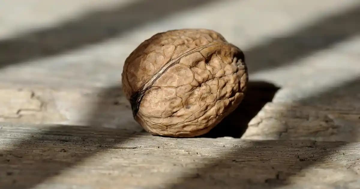 Makyaj Temizleme Balmı: Cilt Bakımında Etkili ve Nazik Temizlik Çözümü