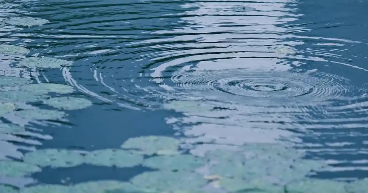 Meditech Arnica Jel: Doğal İçeriklerle Güzellik ve Rahatlama Sağlayan Topikal Çözüm