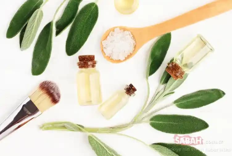 Ölmez Otunun Kozmetik ve Sağlık Alanındaki Rolü ve Faydaları