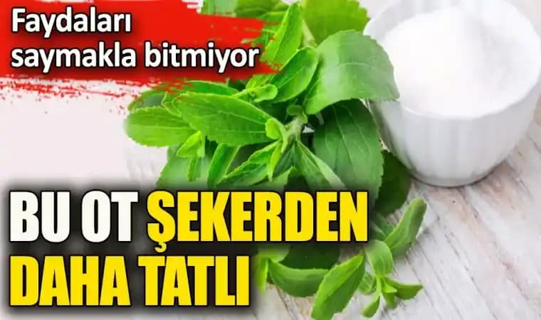 Ölümsüz Otun Kozmetik Sektöründeki Yeri ve Güzellikteki Faydaları