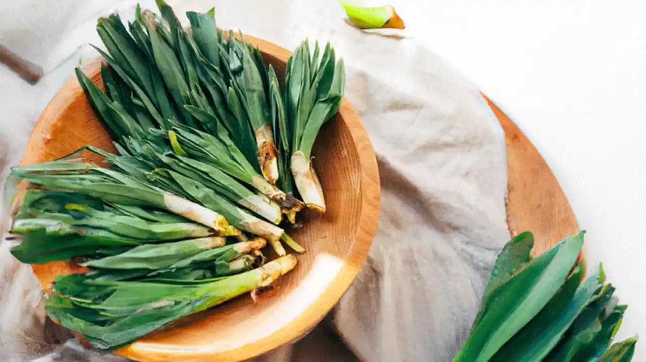 Otların Sağlık ve Güzellikteki Faydaları ile Kozmetik ve Sağlık Alanındaki Kullanım Alanları