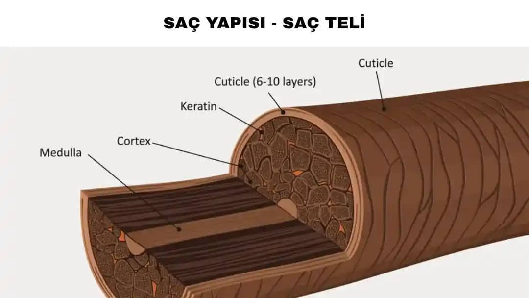Saç Sağlığını Korumak ve Güçlendirmek İçin Bilmeniz Gerekenler