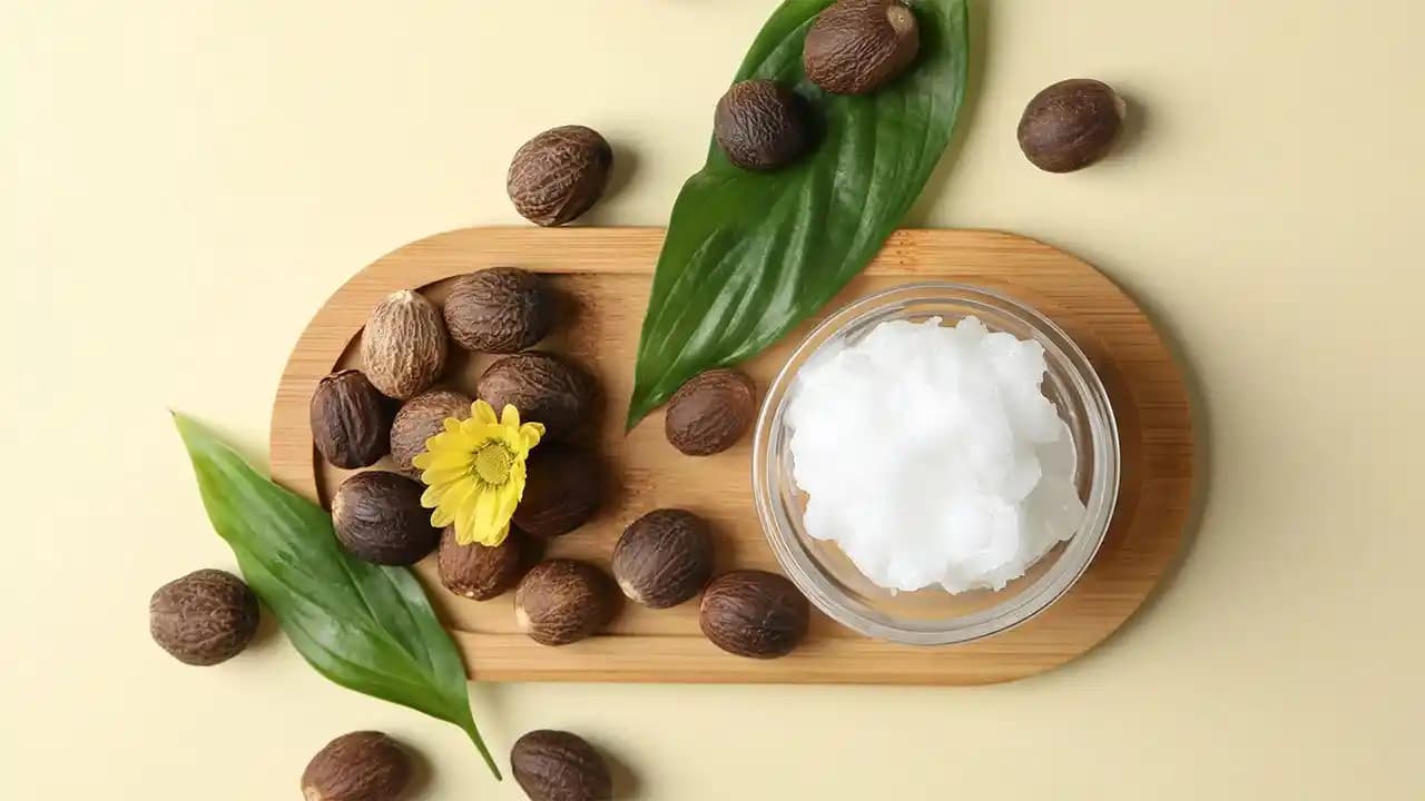 Shea Butter: Doğal İçerikleriyle Cilt Sağlığını Destekleyen Çok Yönlü Bir Bileşen