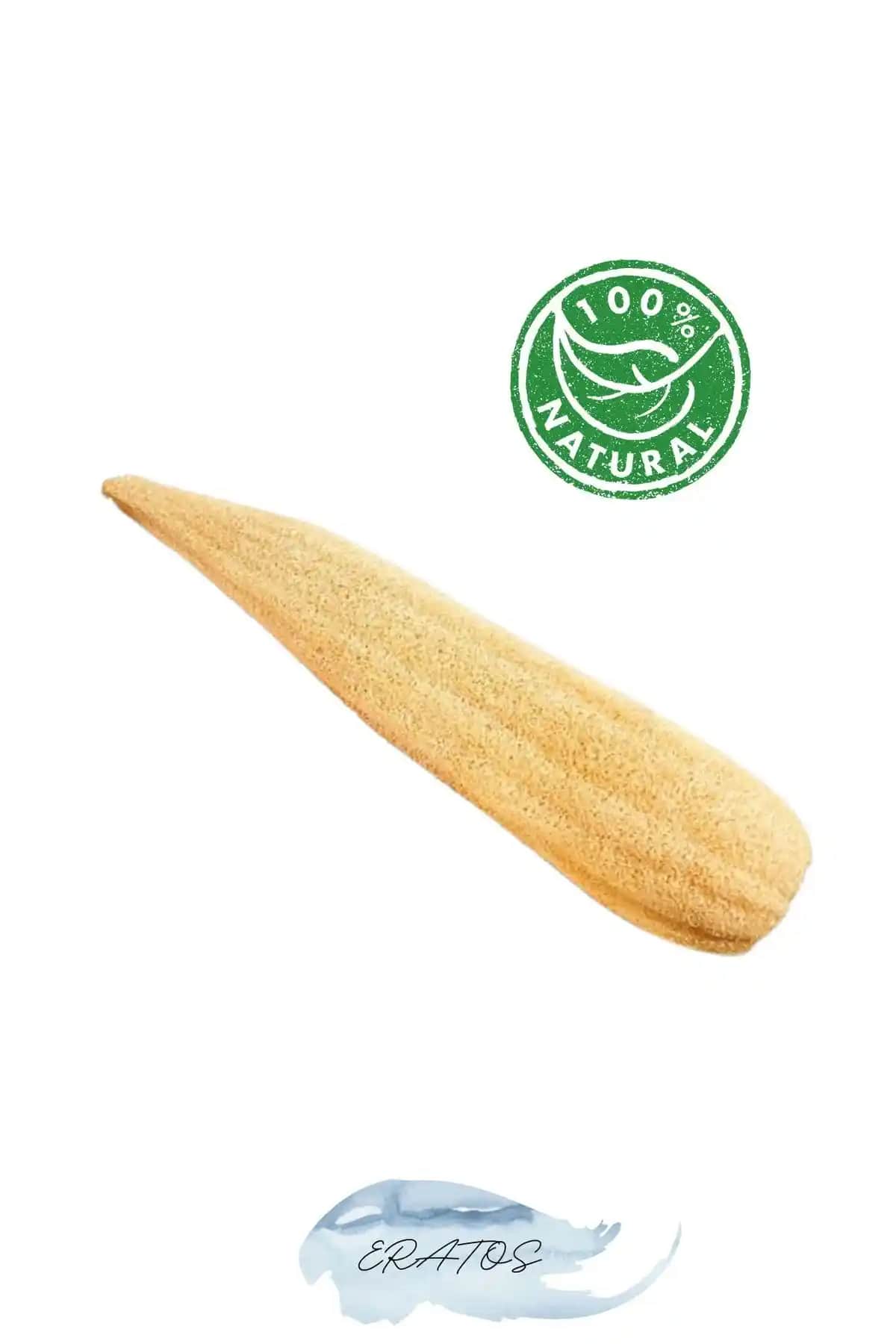 Kabak Lifi Karşılaştırması: ERATOS Ham Kabak Lifi ve Peştemalcı Levent Doğal Kabak Lifi Özellikleri