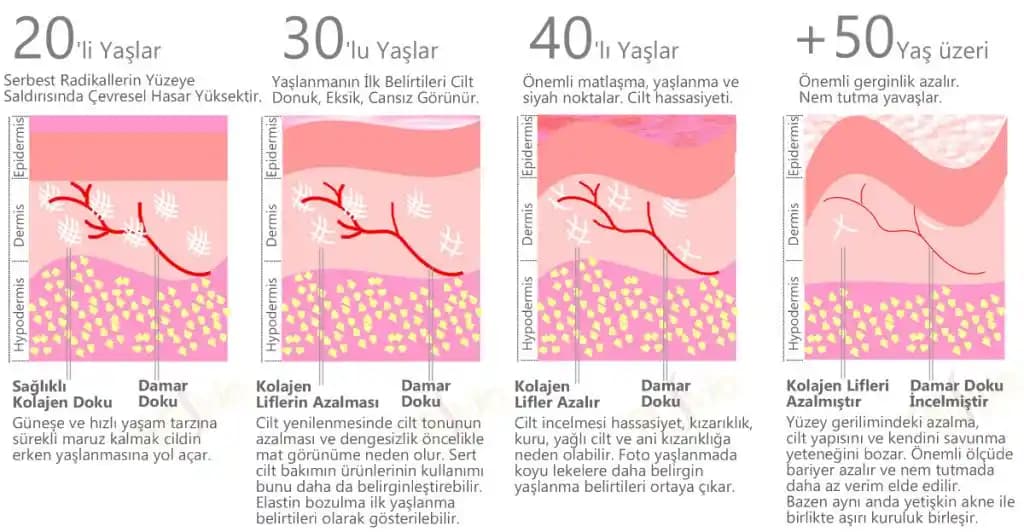 30 Yaş Sonrası Kolajen Takviyelerinin Etkileri ve Yanılgılar Üzerine Bilimsel Değerlendirme