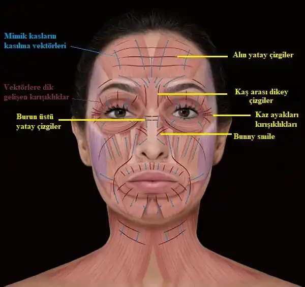 Botoks Sonuçlarının Doğallığı ve Çevrenin Algısı: Fark Edilmemesi Ne Anlama Gelir?