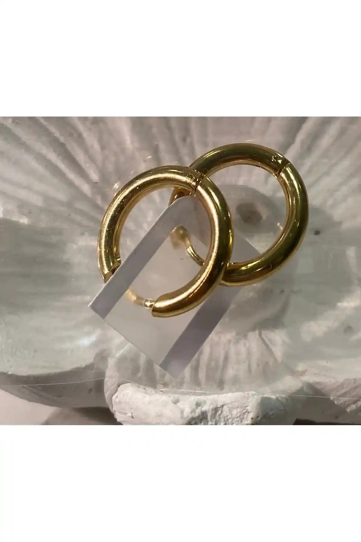 Anatolion Kadın Klasik Oval Halka Çelik Küpe - Şıklık ve Dayanıklılık Sunan Modern Tasarım