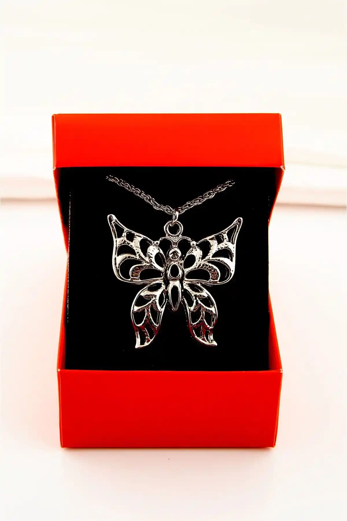 EUROMODA Kutulu Büyük Kelebek Tasarımlı Gümüş Kaplamalı Uzun Zincirli Kolye