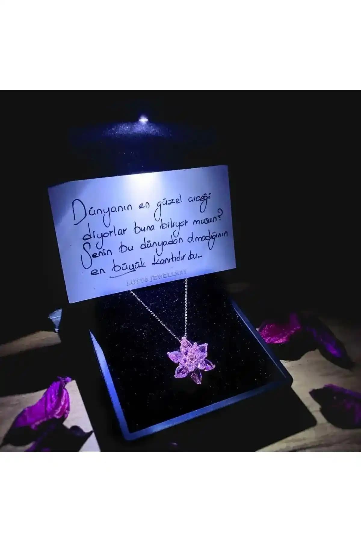LOTUS JEWELLERY ve Zanaatsilver Gümüş Kolye Karşılaştırması ve Hangi Ürünün Daha Uygun Olduğu