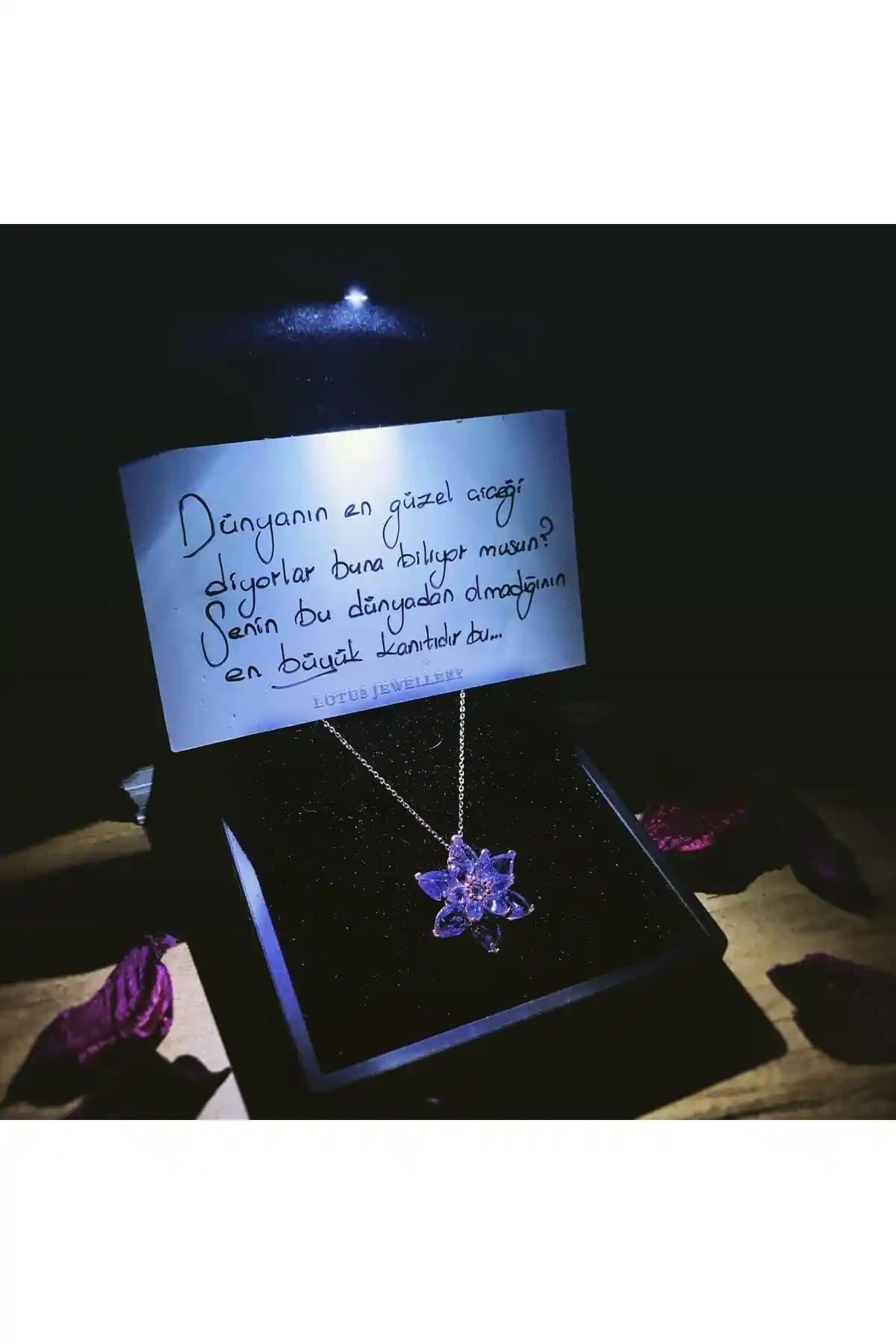 LOTUS JW ve Silvano Jewelry 925 Ayar Gümüş Kolye Karşılaştırması