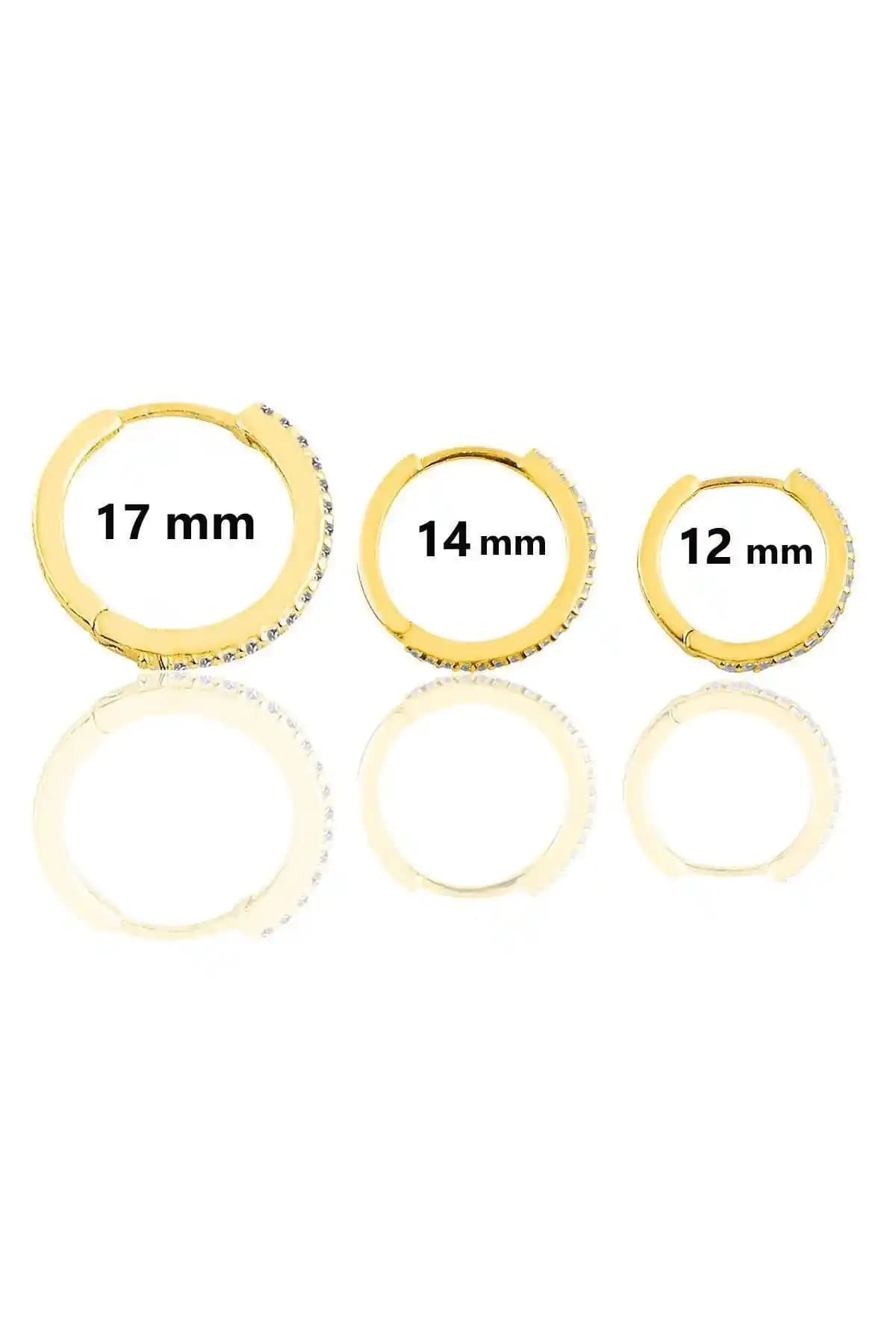 Söğütlü Silver Gümüş Altın Yaldızlı Zirkon Taşlı Üç Boyutlu Halka Küpe Seti