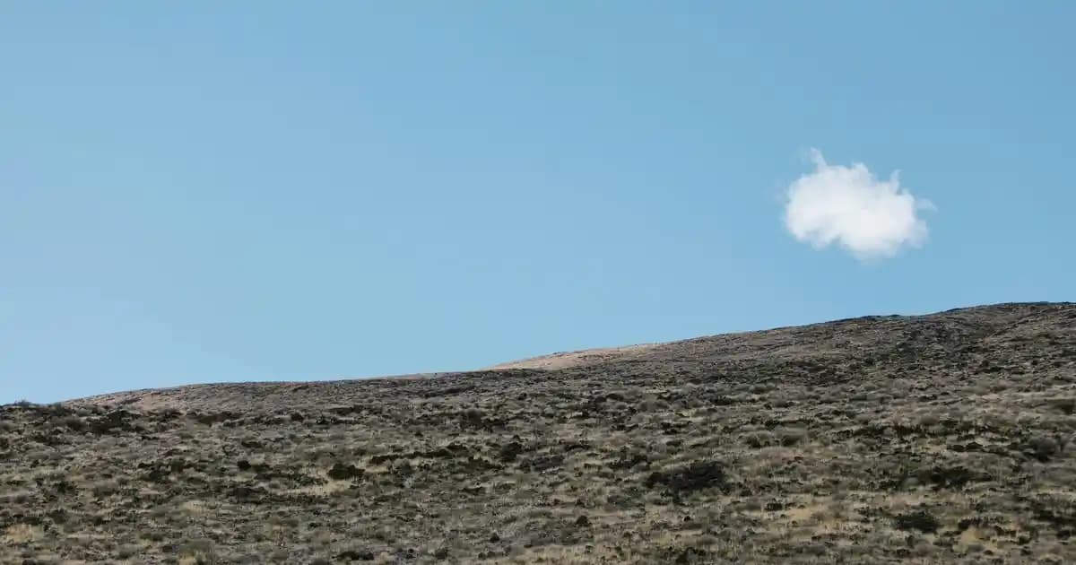 0-3 Yaş Bebekler İçin Rocs Diş Fırçası: Güvenli ve Etkili Temizlik Çözümü