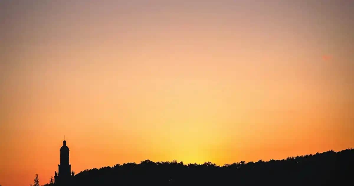 10 Gün Sonrası Gebelik Testi Nasıl Yapılır ve Doğru Sonuç Almanın Yolları