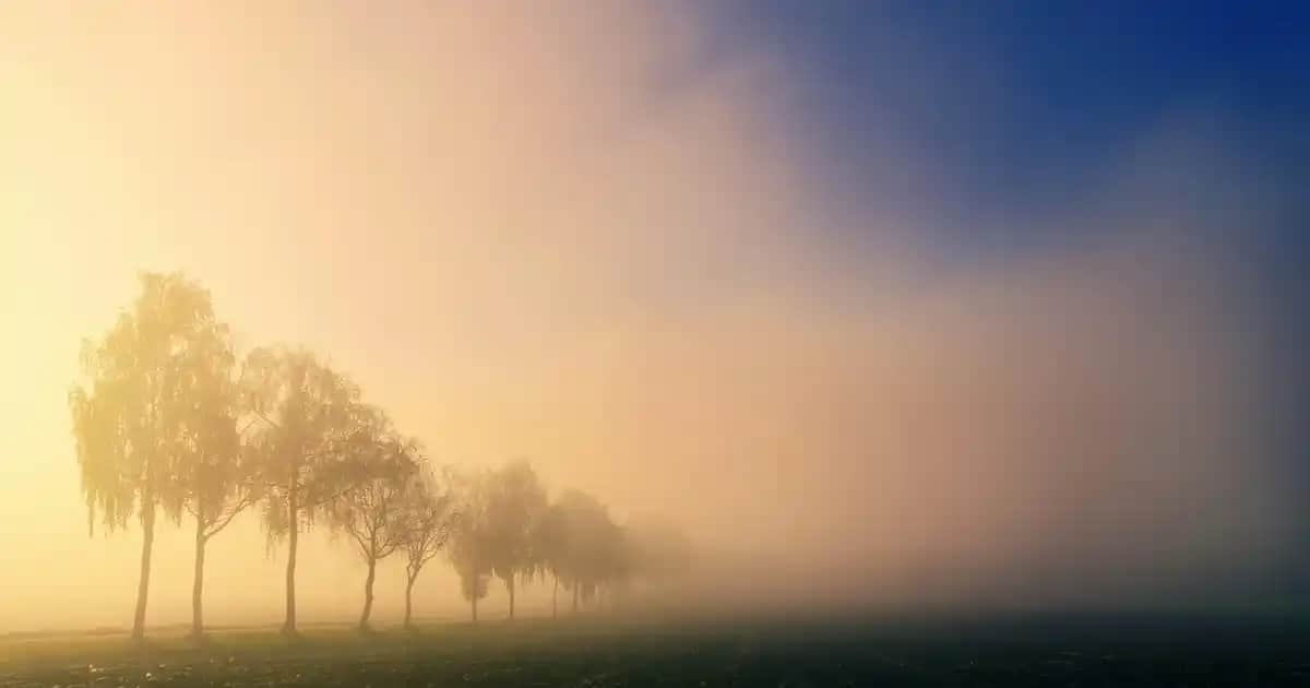 A vitamini fiyatları ve kozmetik sektöründeki en iyi ürün seçimleri hakkında kapsamlı rehber