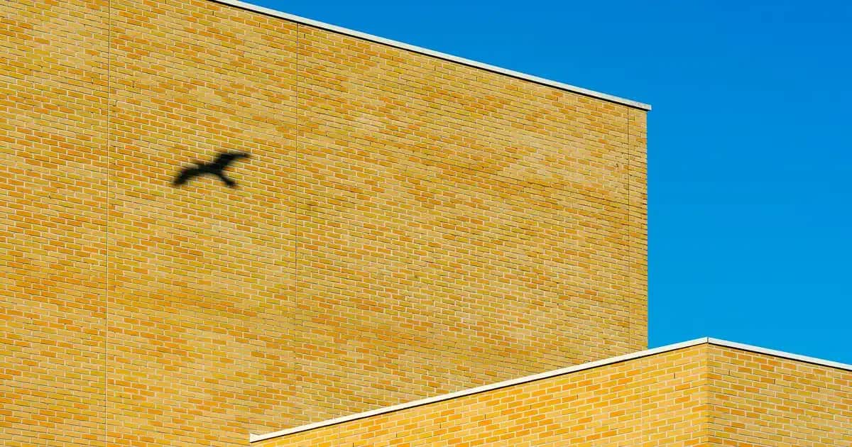 A Vitamini Serumu Nedir ve Cilt Bakımında Nasıl Kullanılır