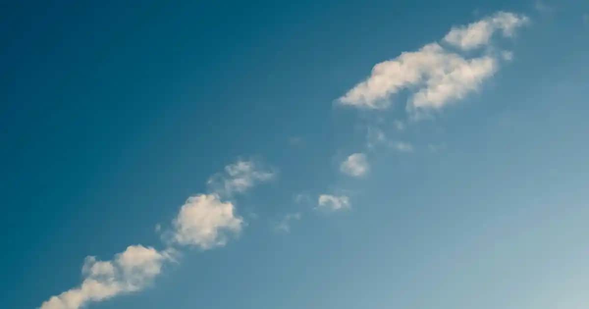 Adet Kilodunun Kozmetik ve Sağlık Açısından Önemi ve Doğru Ürün Seçimi