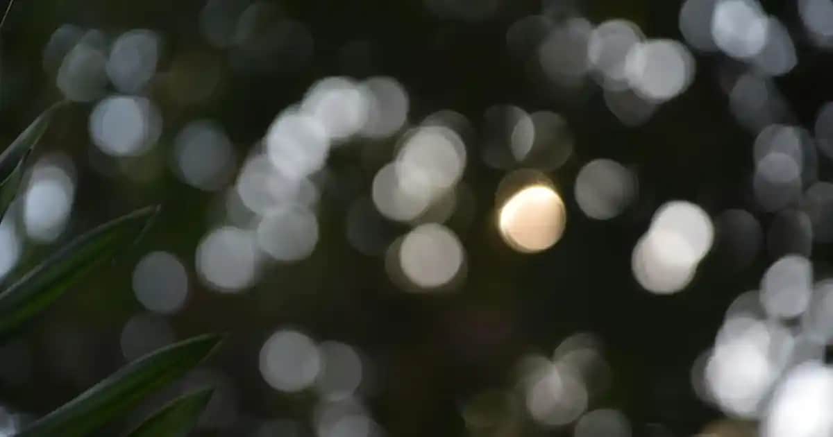 Ağız Kokusu Spreyleri: Günlük Kullanım İçin Ferahlatıcı ve Etkili Çözüm Rehberi